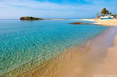 a sandy beach with palm trees and the ocean at Mackenzie By the sea one bed Ground floor home in Larnaka