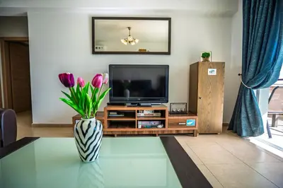 a living room with a television and a vase of flowers at Chromata Lagoon Sea View Apartment in Paralimni