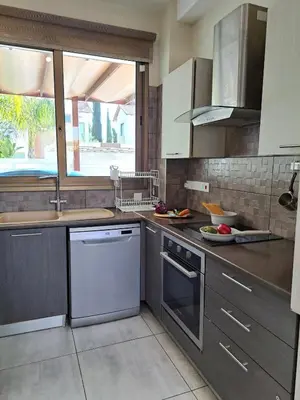 a kitchen with stainless steel appliances and a window at Villa Allamare with a pool in Paralimni