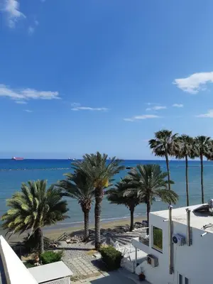 a view of a beach with palm trees and the ocean at Enjoy Sunrise at Spacious 3BR flat by the Seafront in Voroklini