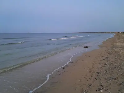 a beach with a dog laying on the sand at ANDRIA'S luxury family studio near Casino limassol in Limassol