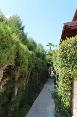 a path with plants on the side of a building at Cozy Holiday Apartment with Balcony in Pyla