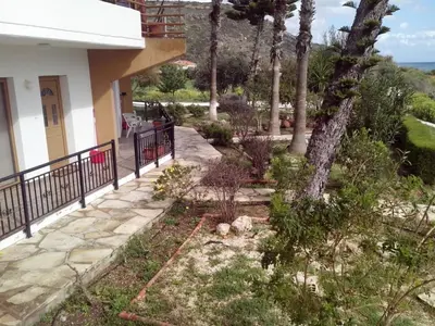 a garden with palm trees and a house at Yialos Apartments in Pissouri