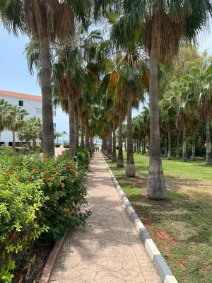 a walkway lined with palm trees in a park at Nelia Sea Breeze in Ayia Napa