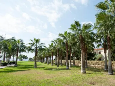 a row of palm trees in a park at Nelia Sea Breeze in Ayia Napa