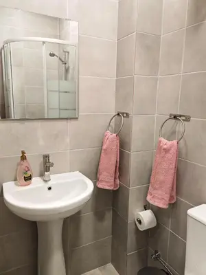 a bathroom with a sink and a mirror and pink towels at Studio in the center of Nicosia 3 in Nicosia