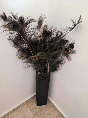 a plant with peacock feathers in a black vase at 2 Bed Apartment Pool and Sea Views in Oroklini in Voroklini