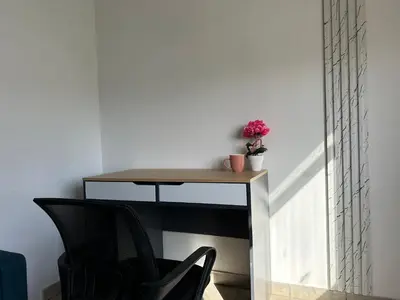a desk with a plant on it next to a chair at Adonis Holiday Apt - Nicosia in Nicosia