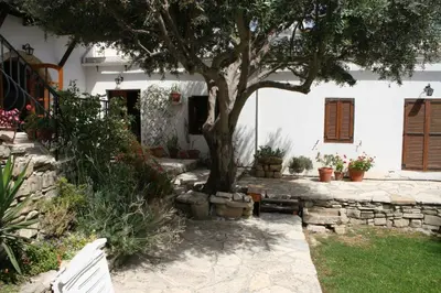 a tree in front of a house with a bench at Cobblers in Maroni