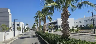 a street with palm trees on the side of a road at Modern Luxury Apartment in Aglantzia