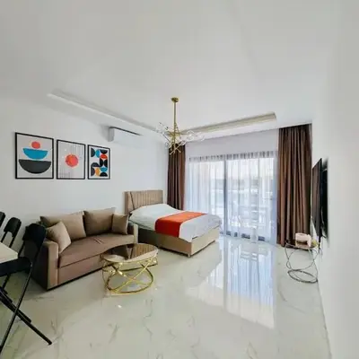 Modern Luxury Apartment