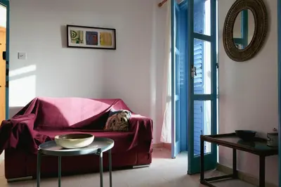 a dog laying on a couch in a living room at L'Azure 24 - Protaras in Paralimni