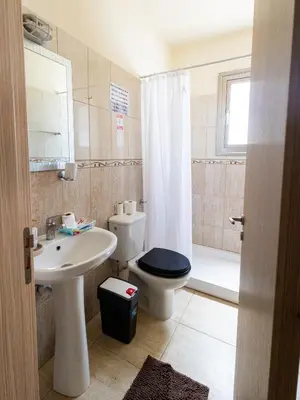 a bathroom with a sink and a toilet and a shower at Maestro Villa II - Pervolia in Pervolia