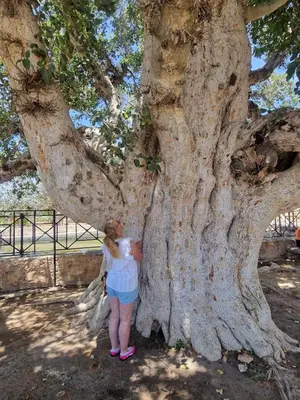 a woman standing in front of a large tree at Awaken Your Hidden Goddess Retreat at Nissi Avenue - Central Ayia Napa in Ayia Napa