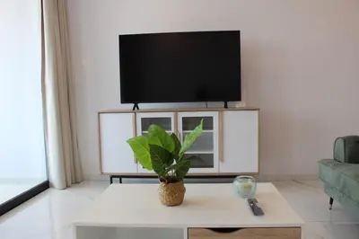 a living room with a tv and a plant on a table at Infinity Luxury Mansions in Yeri