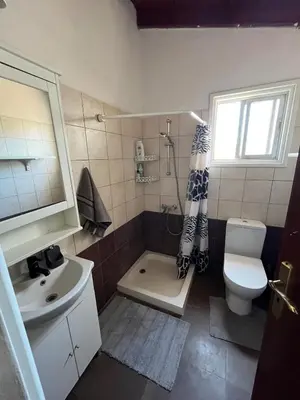 a bathroom with a sink and a toilet and a shower at Digital Detox with 100 Animals Nature Stay in Dasaki Achnas