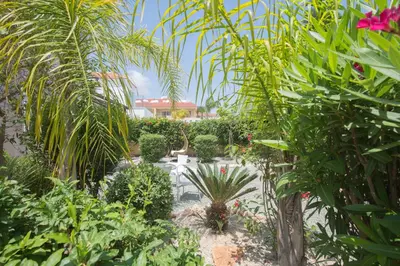 a garden with palm trees and plants in front of a house at Nissi Maria Villa in Ayia Napa