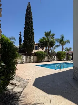 a swimming pool with a palm tree next to a building at Villa Porta Aurea in Ayia Napa