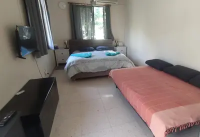two beds in a room with a tv and a couch at Ambeli - Ambeloui in Kalopanayiotis