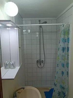 a bathroom with a shower and a toilet at Ambeli - Ambeloui in Kalopanayiotis