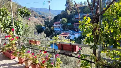 a view from the balcony of a house with flowers at Ambeli - Ambeloui in Kalopanayiotis