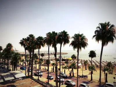 a view of a beach with palm trees and the ocean at Lokàl Boutique Hotel in Larnaka