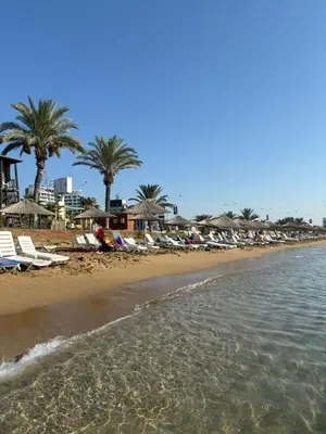 a beach with chaise lounges and palm trees at Bedroom flat Caesar resort, Iskele north Cyprus in Vrysoules