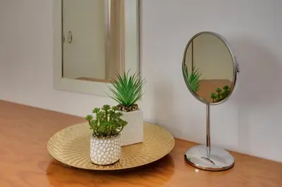 a mirror and two potted plants on a table at Penthouse Central Larnaca The 'Veranda' Elena Court in Larnaka