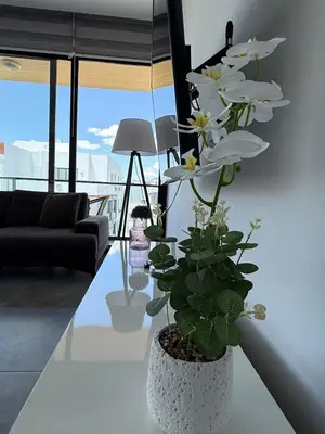 a living room with a plant on a table at Yenikent's Diamond in Nicosia