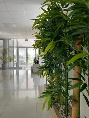 a row of potted plants in an office lobby at Boho Studio mit Meerblick in Boğaz