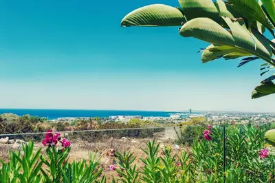 a view of the ocean from a hill with flowers at Elite Panoramic View 3Bdr Villa with pool Ayia Napa in Ayia Napa