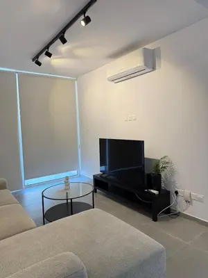 a living room with a couch and a flat screen tv at The Minimal Nest in Nicosia