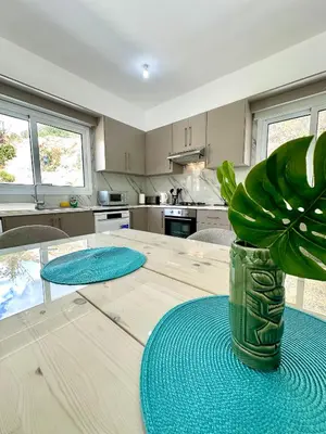 a kitchen with a table with a potted plant on it at Home in the Hills in Limassol