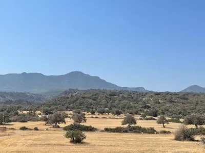 a field with trees and mountains in the background at Penthouse Blueberry North Cyprus in Kérynia