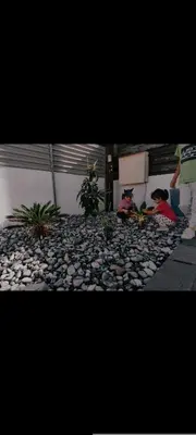 a view of a garden with plants and rocks at Light garden in Limassol