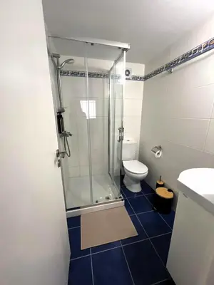 a bathroom with a shower with a toilet and a sink at The Mansion By Penelope in Omodos