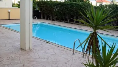 a blue swimming pool with a palm tree next to it at Sunflower Oroklini in Voroklini