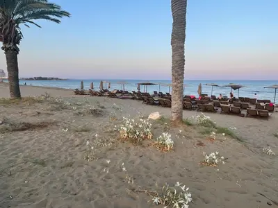 a beach with chairs and umbrellas and the ocean at Family friendly modern flat in Caesar Resort &SPA, Long Beach İSKELE, KKTC in Iskele