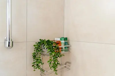 a green plant on a shelf in a bathroom at TelMar City - Harbour Sea View from the Veranda in Larnaka