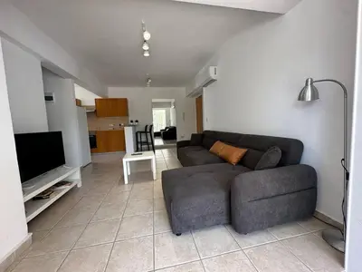 a living room with a couch and a flat screen tv at Spacious City Center - Suite 203 in Nicosia