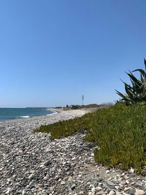 a rocky beach with grass and the ocean at Tranquil Poolside apartment with stunning views in Mazotos