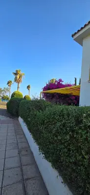 a garden with bushes and flowers and a sidewalk at Barefoot Beach House in Larnaka