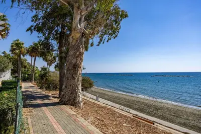 a tree on a sidewalk next to the beach at Berengaria Court - Sea Views 2bdr Apartment in Limassol