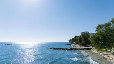 a view of a beach with trees and the water at Melon Boutique Seafront Apartment in Limassol