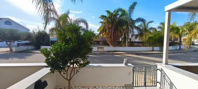 a tree in front of a building with palm trees at Harmonia Home in Paralimni