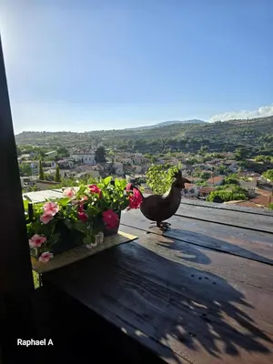 a chicken standing on top of a table with flowers at Οίκος Λόφου-oikos Lofou in Lofou