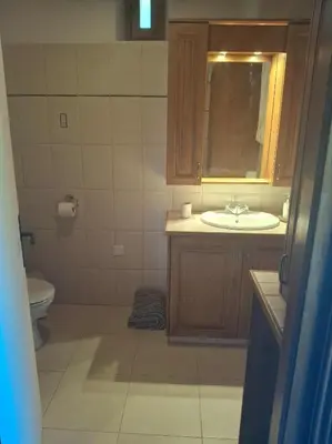 a bathroom with a sink and a toilet and a mirror at Οίκος Λόφου-oikos Lofou in Lofou