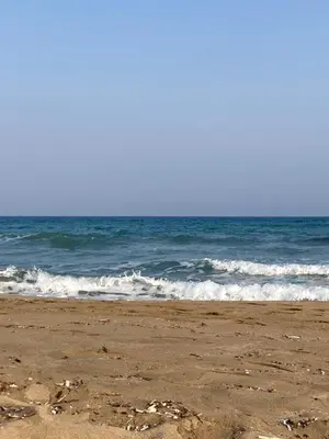 a sandy beach with the ocean in the background at Апартаменты Студия in Dherinia