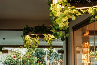 a chandelier with green plants hanging from a ceiling at Averde Residence in Larnaka