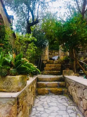 a garden with stone steps and plants at Historic 600 years old beautifully renovated Mill House in Meniko